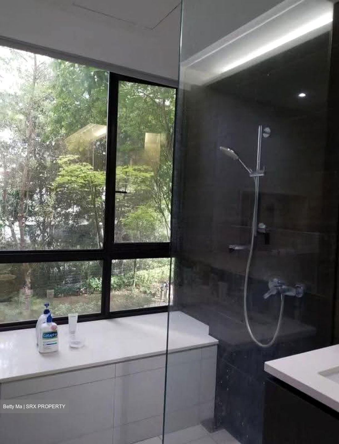 d'Nest (D18), Condominium #634495371